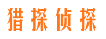 上街市侦探